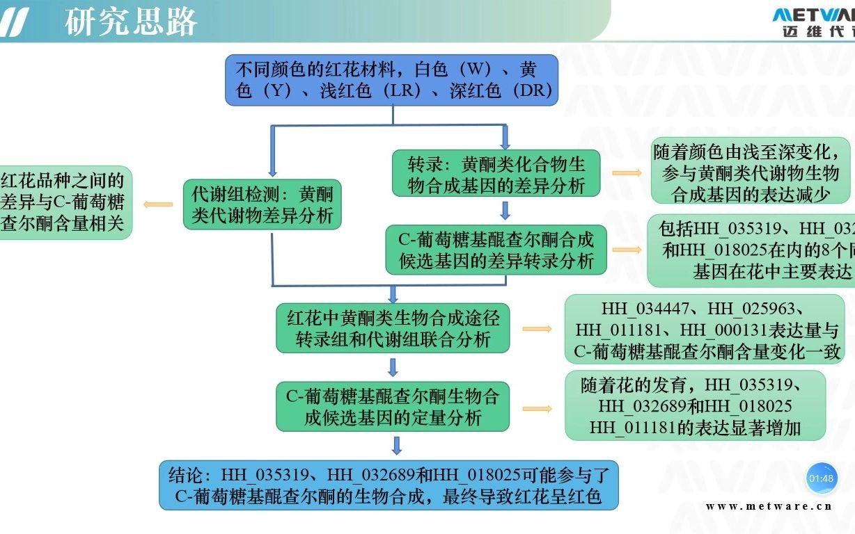 【项目文章】转录组+代谢组解析红花花色差异机制——迈维代谢哔哩哔哩bilibili