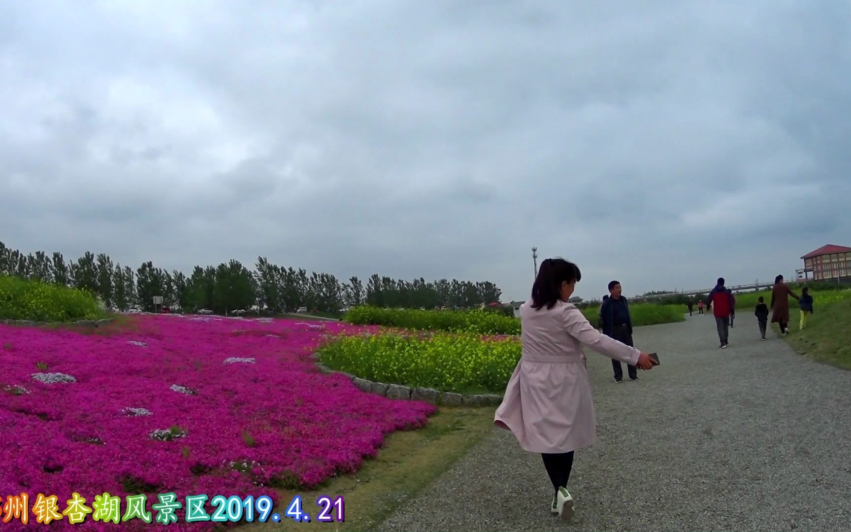 邳州银杏湖风景区2019.4.21哔哩哔哩bilibili