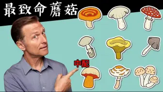 【中配】最致命有毒蘑菇香菇及解毒3種解藥,自然療法,柏格醫生 Dr Berg