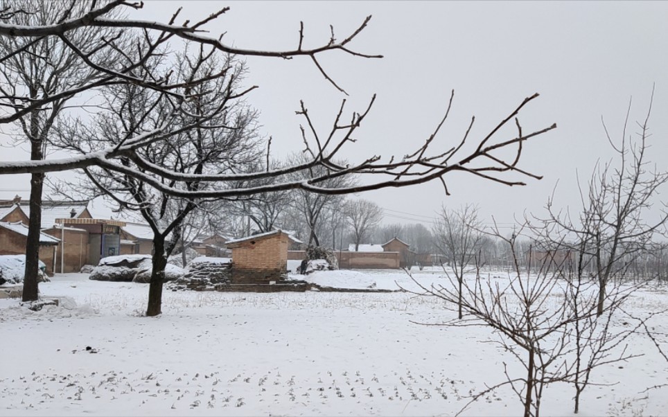 [图]北方一片苍茫 踩雪声音