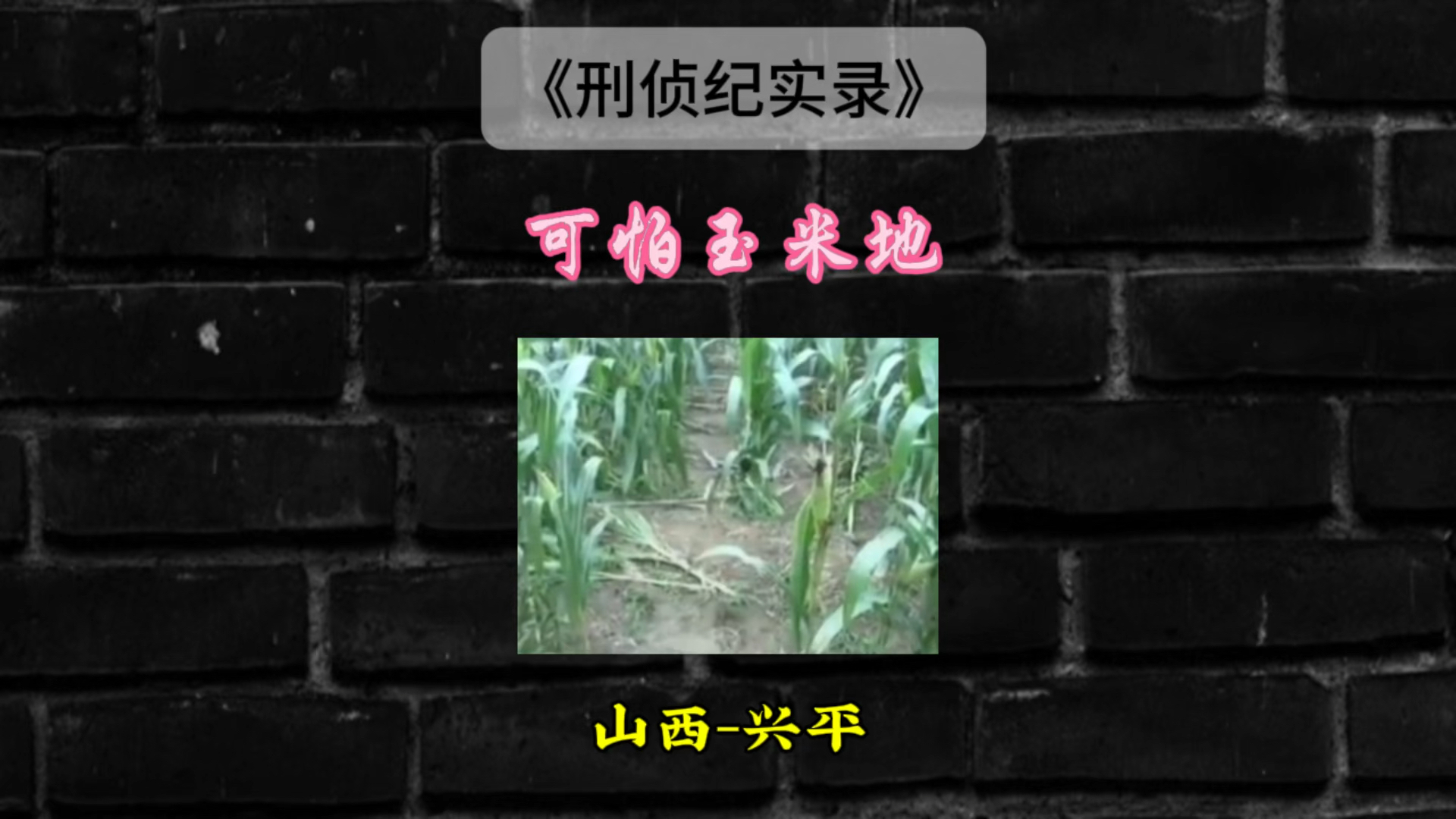 山西省ⷥ…𔥹𓥸‚:可怕的玉米地哔哩哔哩bilibili