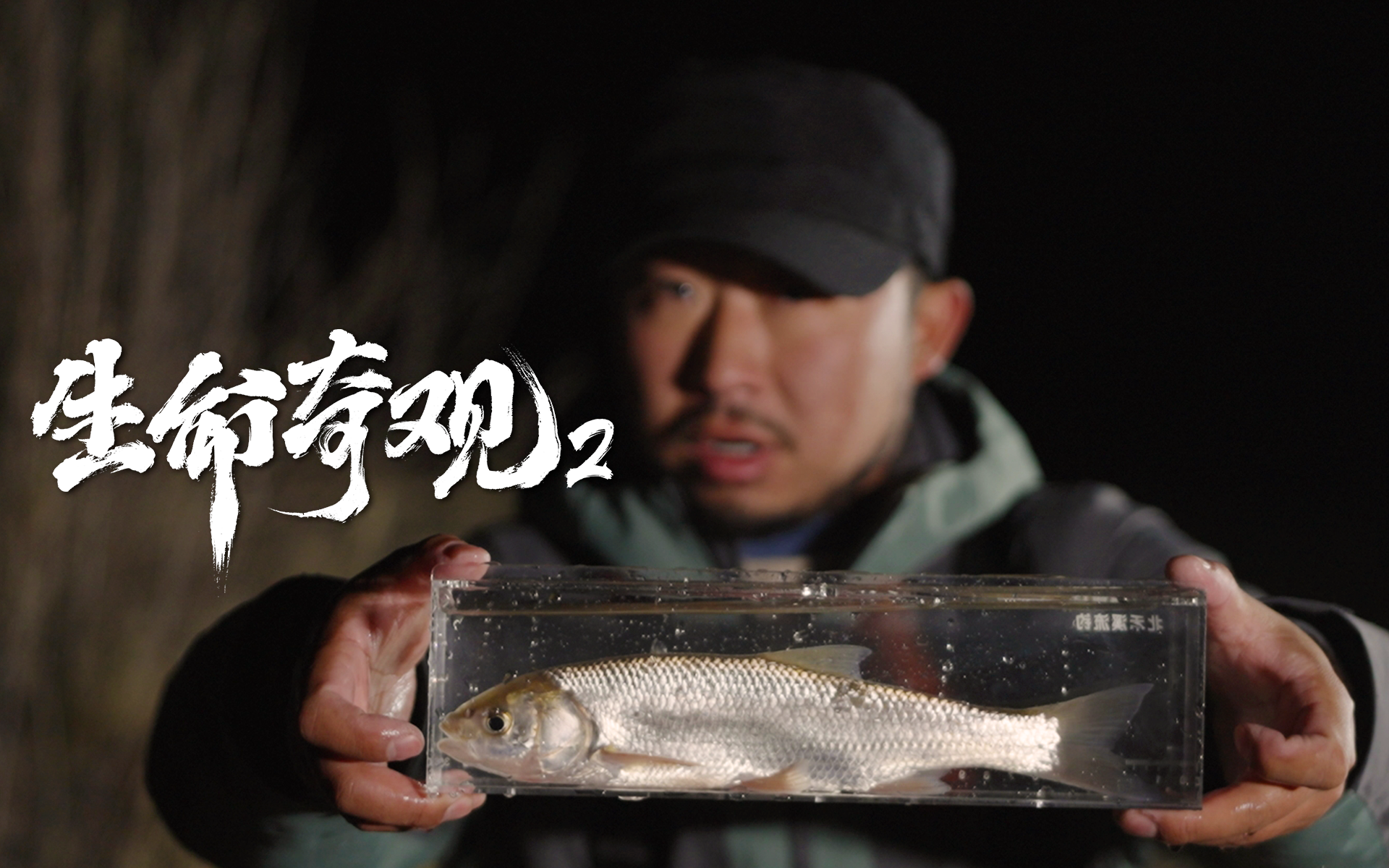 《生命奇观2》第1集 内蒙古高原