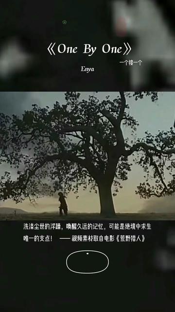 恩雅天籁之音《One by one》,全球公认的安魂曲,世界经典之作.洗涤尘世的浮躁,唤醒久远的记忆,可能是绝境中求生唯一的支点! —— 视频素材取自...