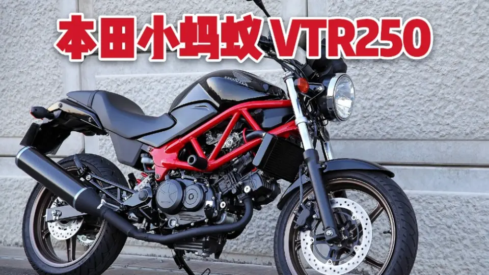 世界公认最成功的250街车本田小蚂蚁VTR250，比神车GW250更有气质？_哔 