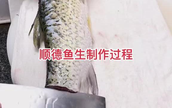 顺德鱼生制作过程.你学会了吗?口感:肉质Q弹 爽脆可口哔哩哔哩bilibili