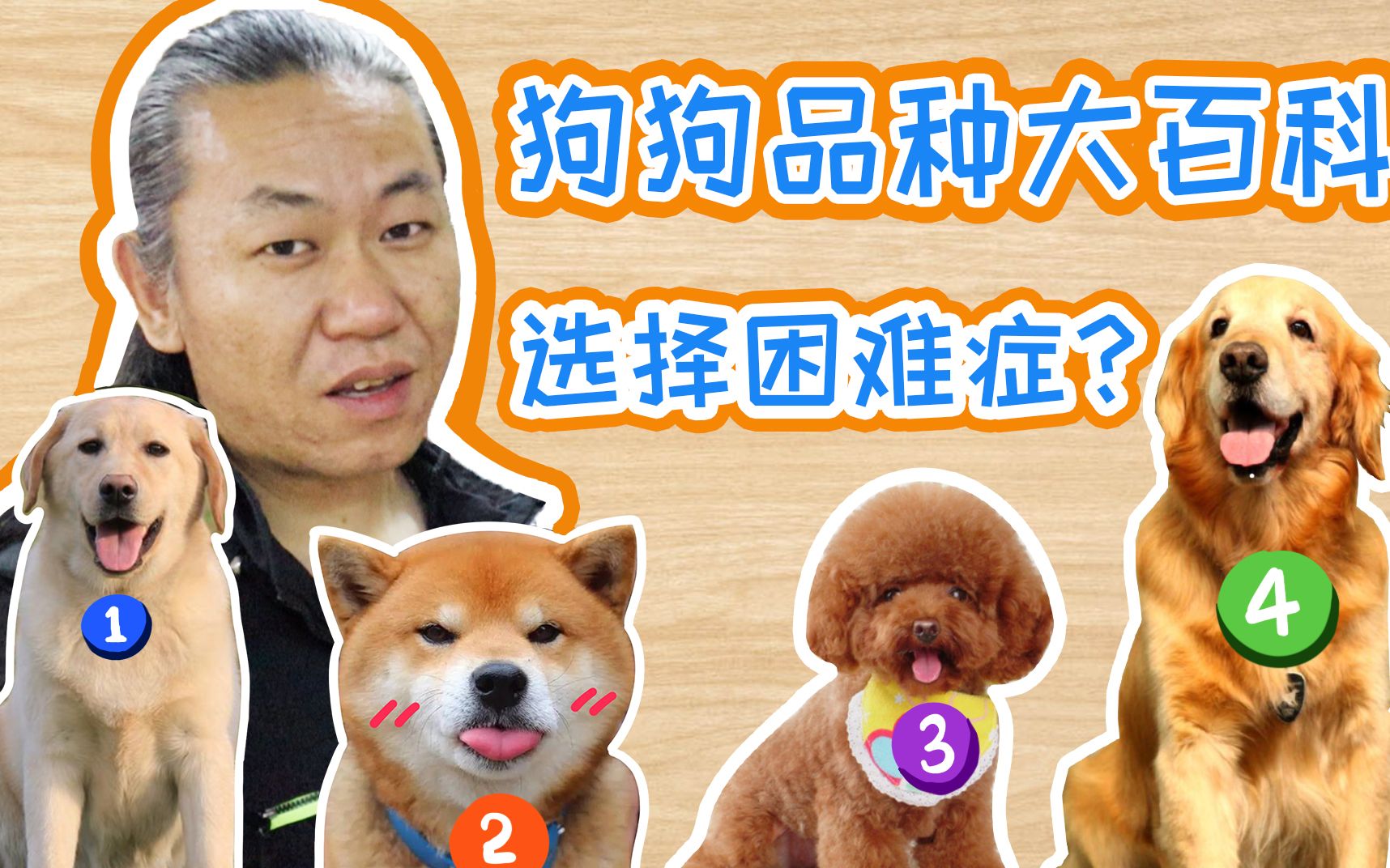 [图]【养狗小白入门指南】金毛？柴犬？边牧？法斗？你想知道的都在这里！