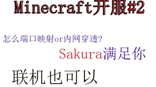 小排 Minecraft开服 2 怎么端口映射or内网穿透 Sakura满足你 我的世界联机也可以 哔哩哔哩 つロ干杯 Bilibili
