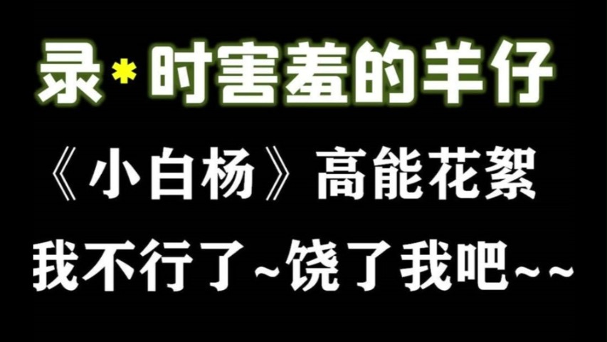 【花絮】《小白杨》高能花絮,我不行了饶了我吧~可爱的羊仔