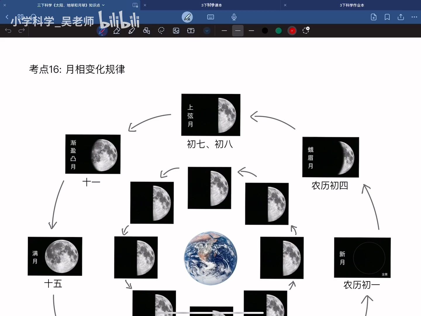 月相变化思维导图图片