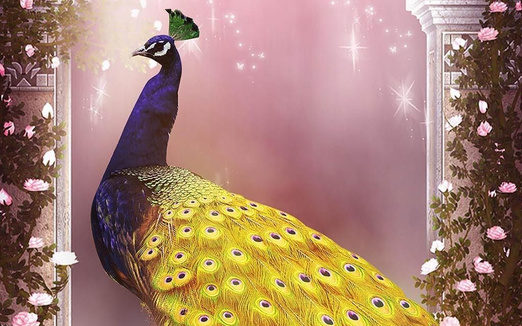 一首葫芦丝金孔雀轻轻跳带你感受不一样的傣族风情