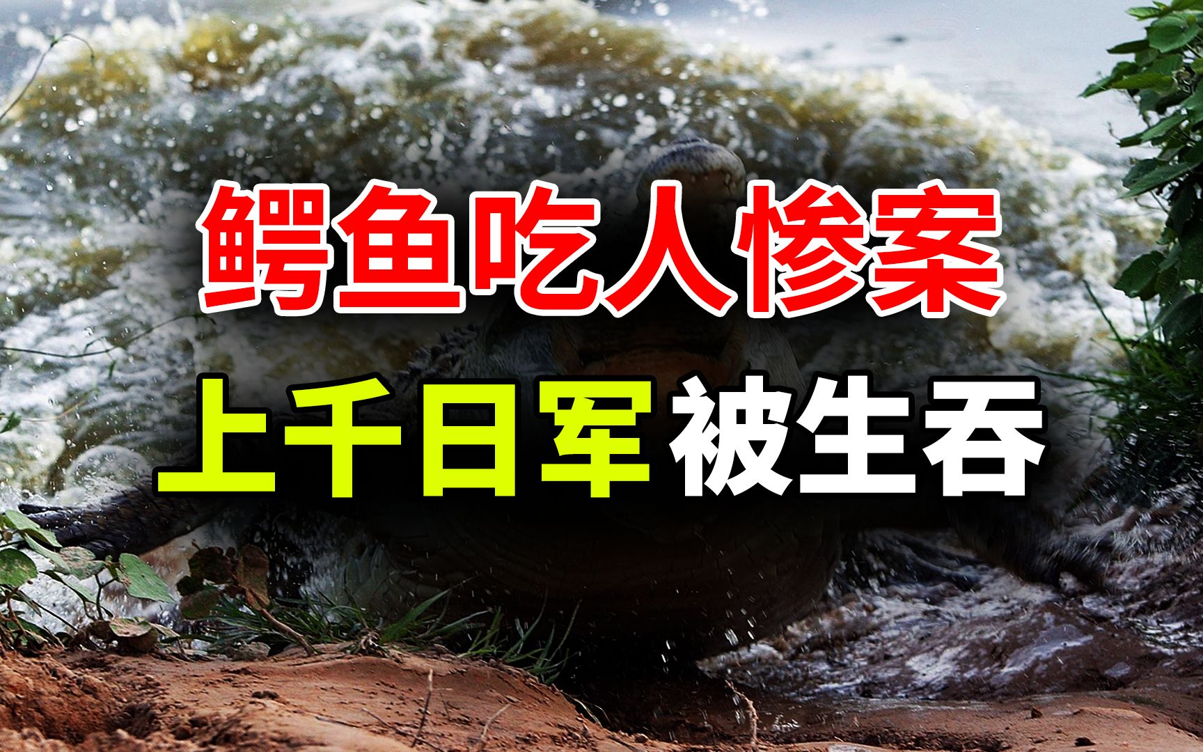 鳄鱼吃人事件,鳄鱼偷袭日本军队,上千日军葬身鳄鱼腹中哔哩哔哩bilibili