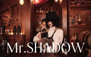 Download Video: 【西】Mr.SHADOW-ロス [原创振付]