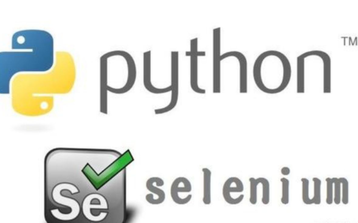python seo B站