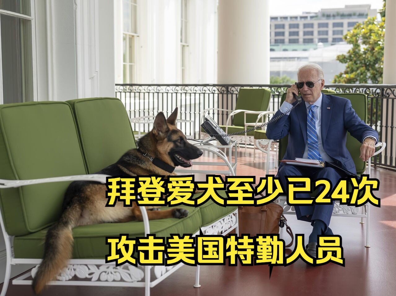 拜登爱犬至少已24次攻击美国特勤人员