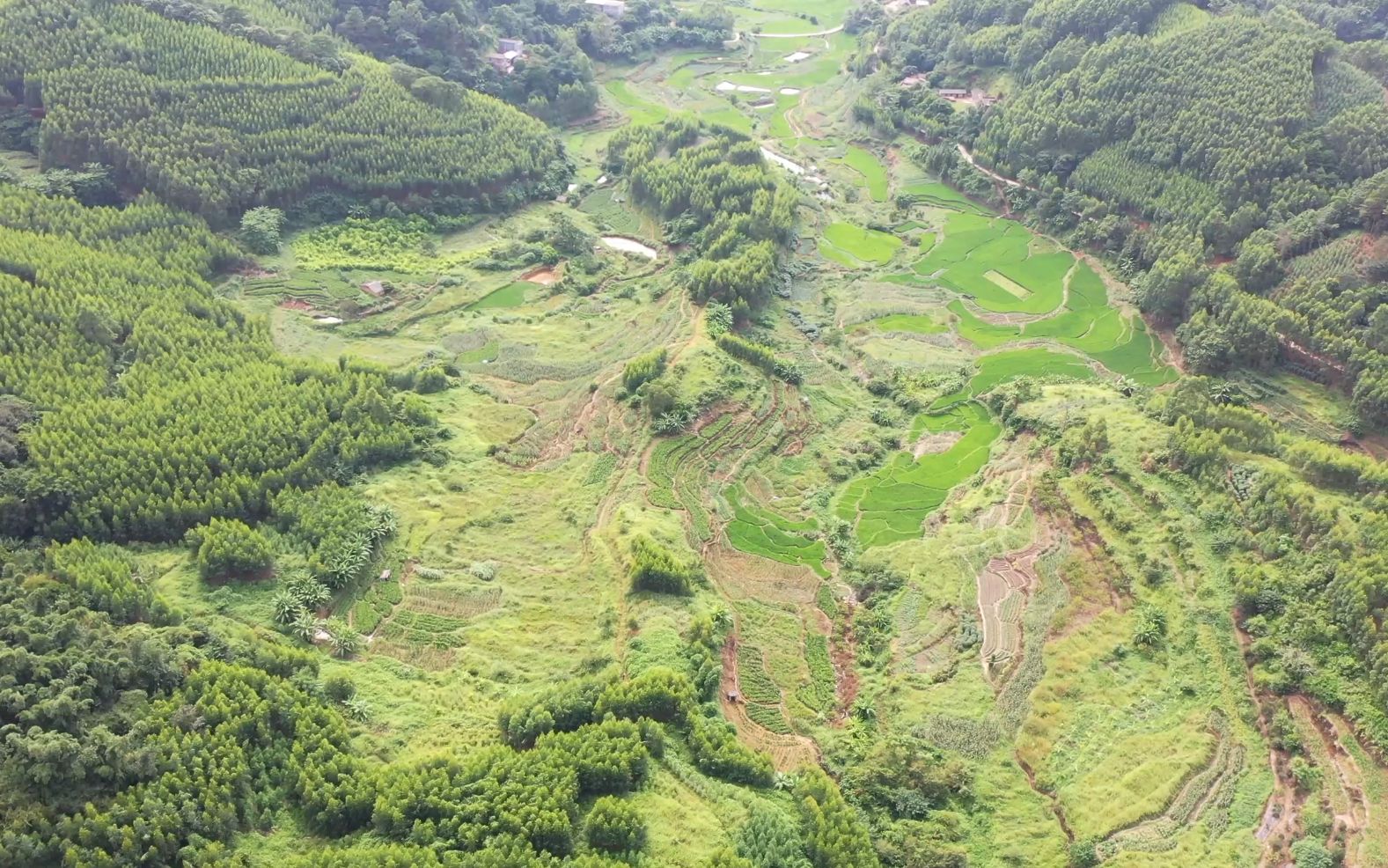 广西农村深山里的凸头地,形状如同一条蛇,地形独特