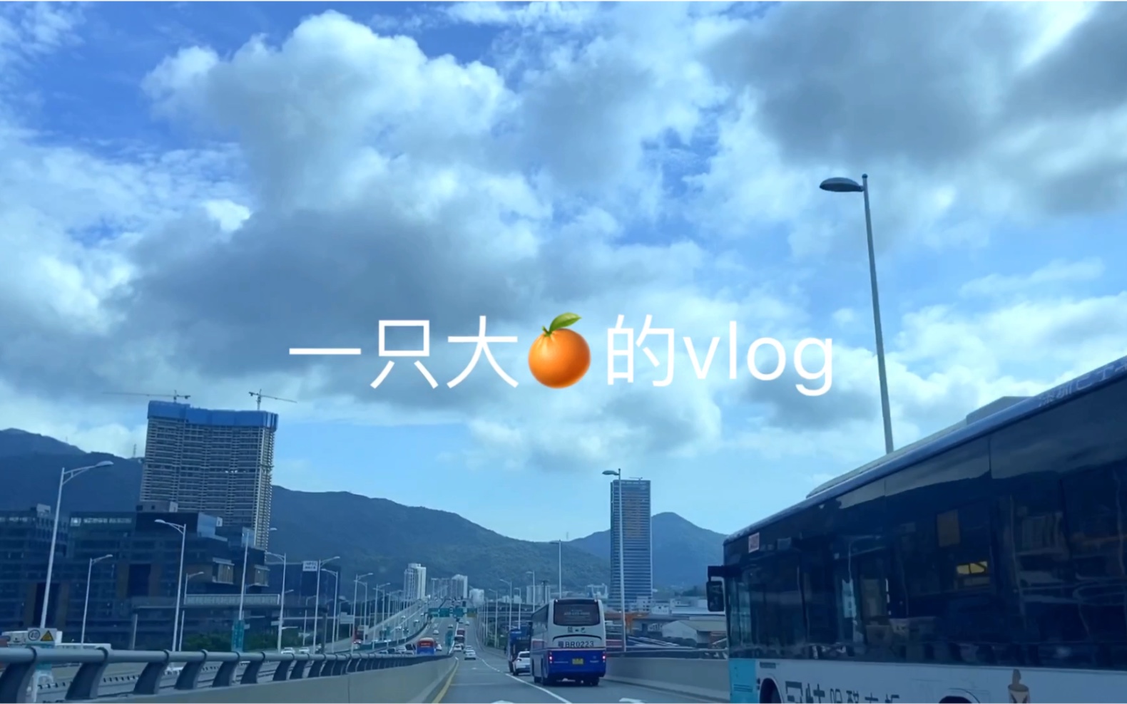 一只大橘子的vlog哔哩哔哩bilibili