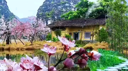 [图]杏花园