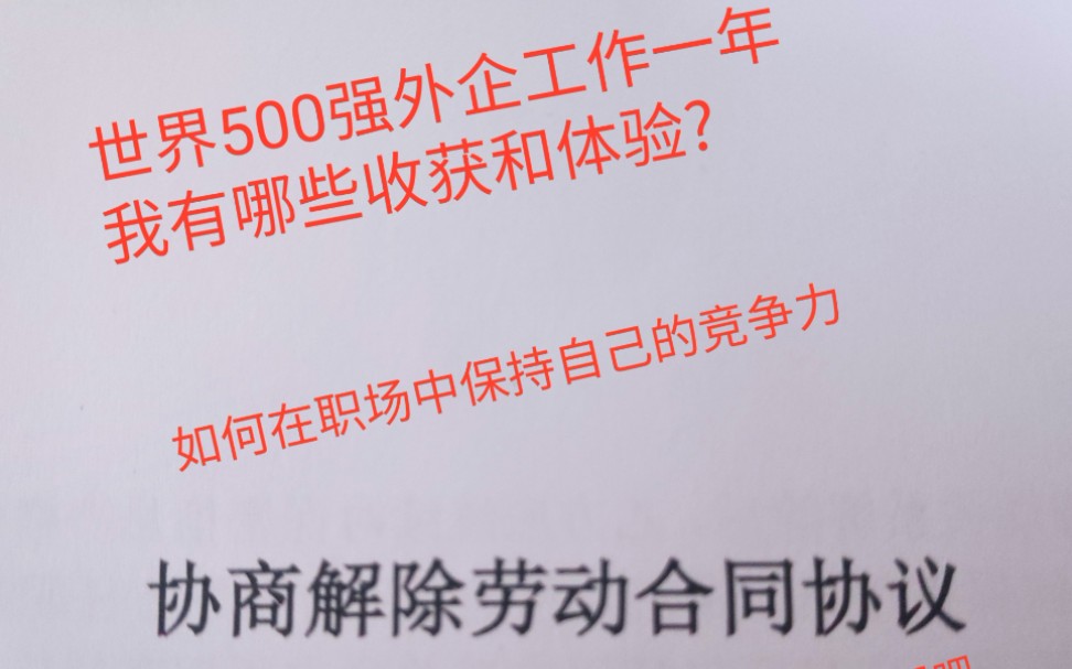 世界500强外企工作一年我有哪些体验和心得?哔哩哔哩bilibili