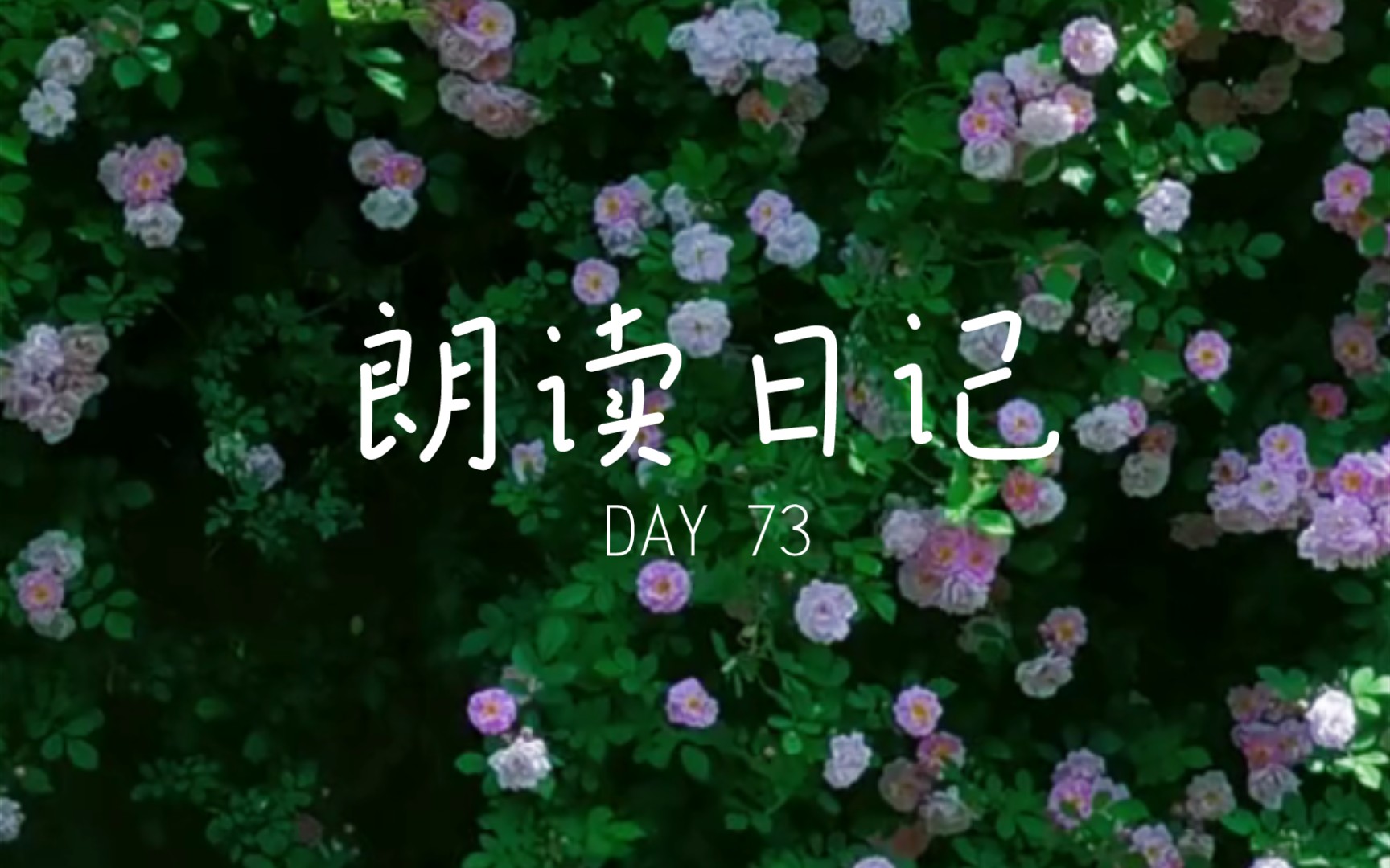 [图]朗读日记 DAY73 《南乡子·细雨湿流光》