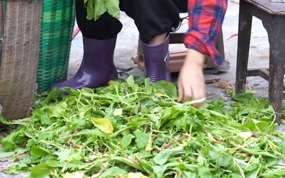 [图]做任何事情都不能失去判断的能力，别人说的再好，也要三思而后行，有句话说的好，眼见不一定为实，耳听也不一定为虚。