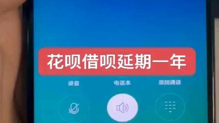 花呗借呗延期一年成功[庆祝][庆祝][庆祝]期间停催停诉讼,正常生活哔哩哔哩bilibili