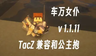 Tải video: 【1.20.1~1.18.2 】1.1.11 版本车万女仆（Touhou Little Maid ）TacZ 兼容和公主抱