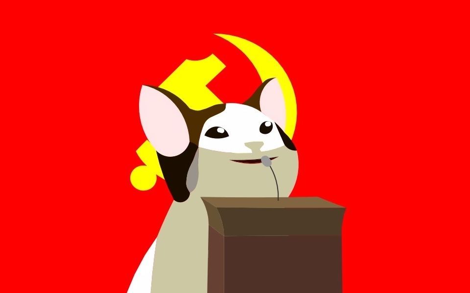 popo猫宣布世界和平【珍贵影像资料】