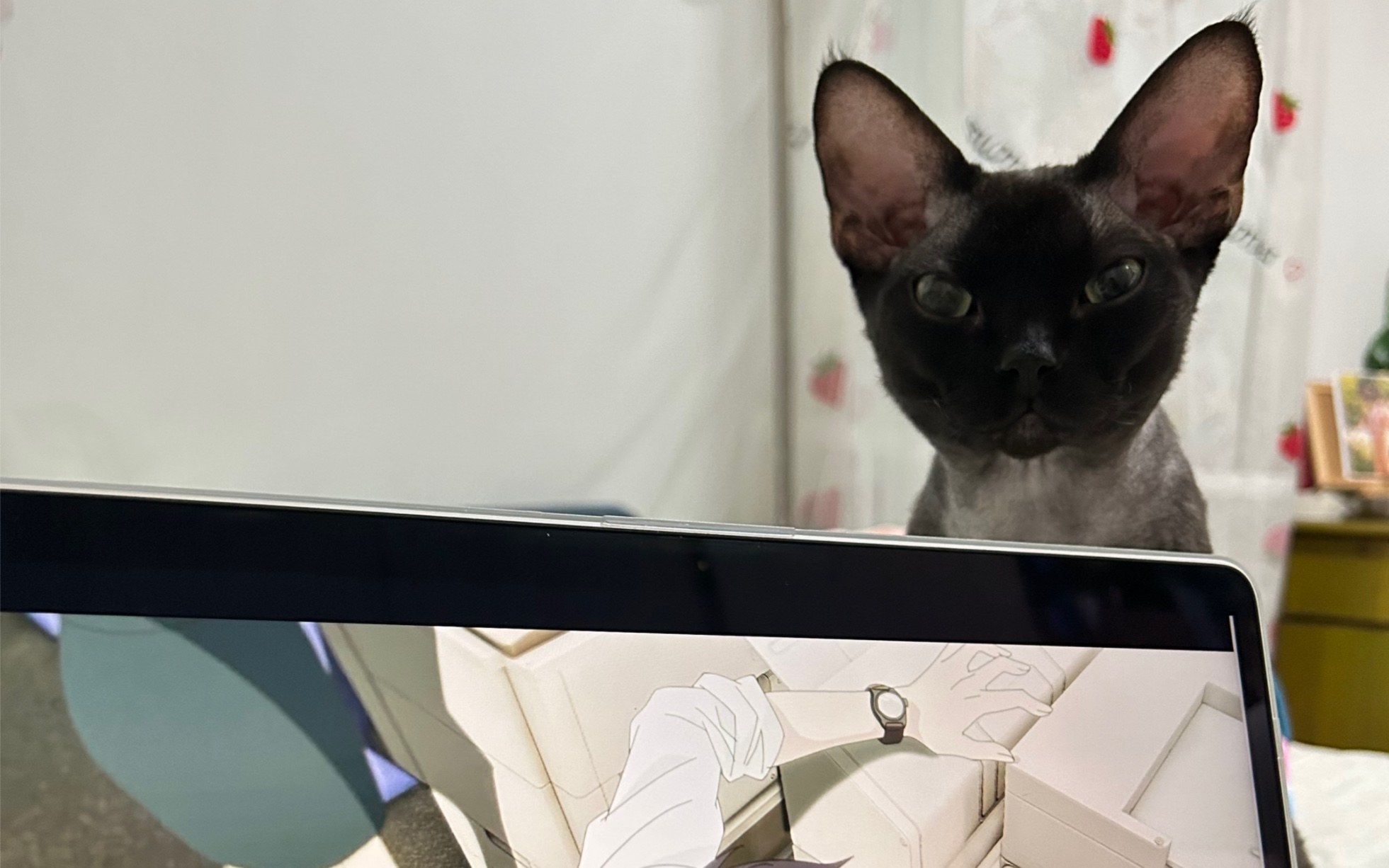 第一次遇到麻球的時候68真的很討人喜歡