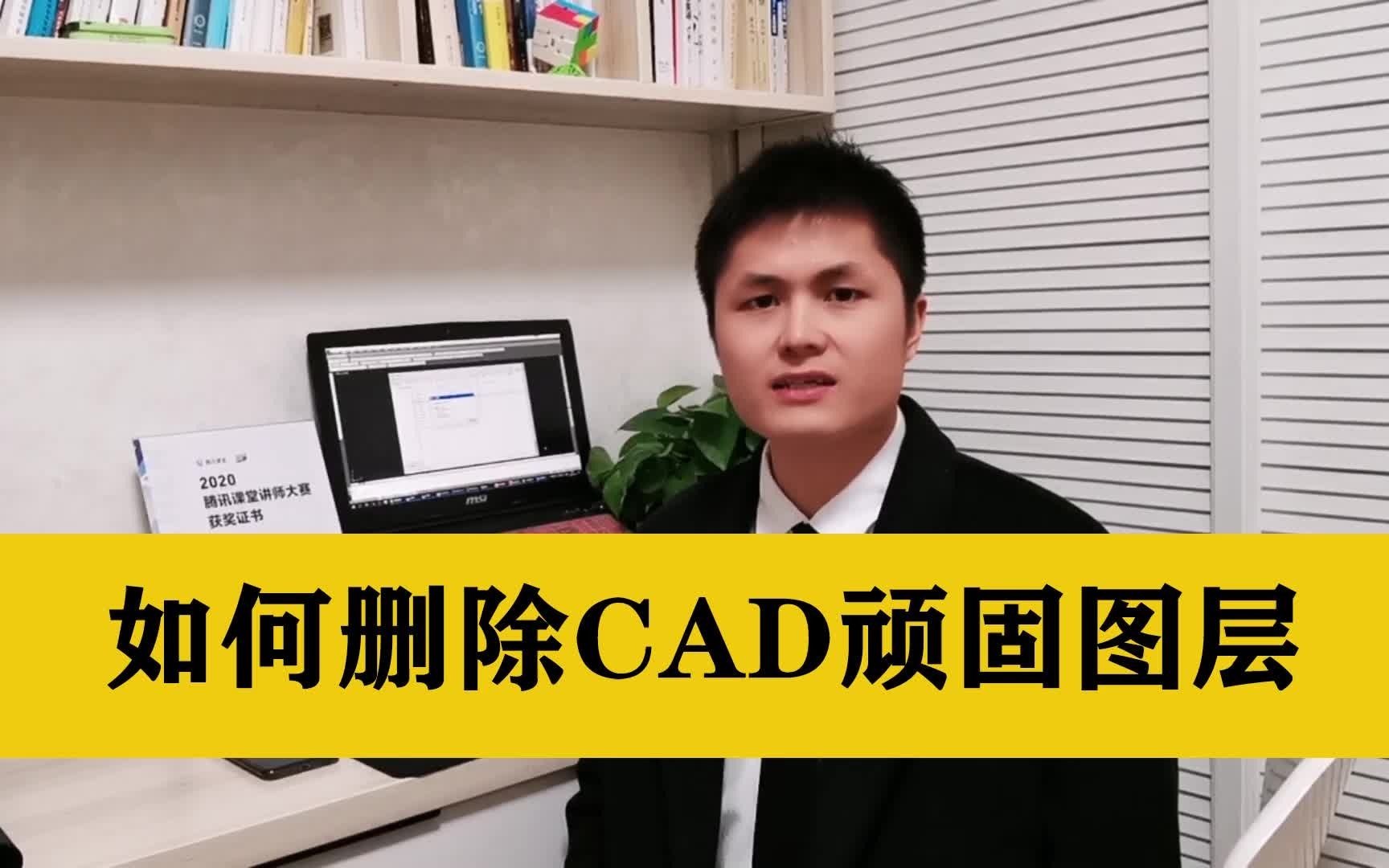 CAD图层上面没有对象,但就是删除不了?教你一键删除CAD顽固图层哔哩哔哩bilibili