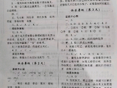 暑假作业答案哔哩哔哩bilibili