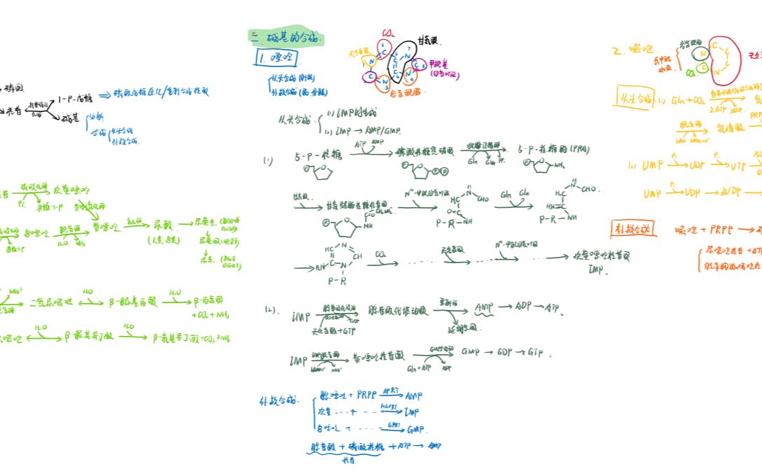 [图]【核苷酸代谢】碱基的合成与分解（柏柏自看）