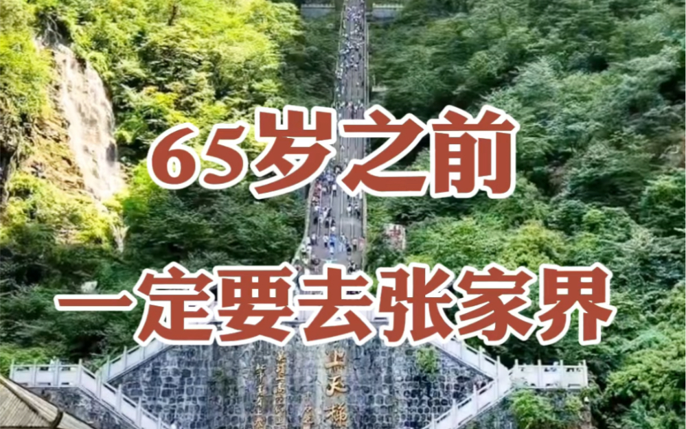 65岁之前一定要去张家界,此生无憾!湖南6天5晚深度游攻略,吃住门票导游全含韶山,长沙,张家界,芙蓉镇,凤凰古城#张家界旅游攻略 #旅行推荐官...