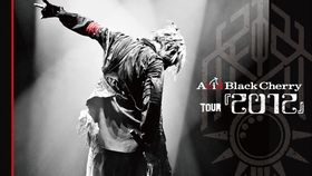 Acid Black Cherry A Nation 14 Stadium Fes 09 Abc Part 哔哩哔哩 つロ干杯 Bilibili