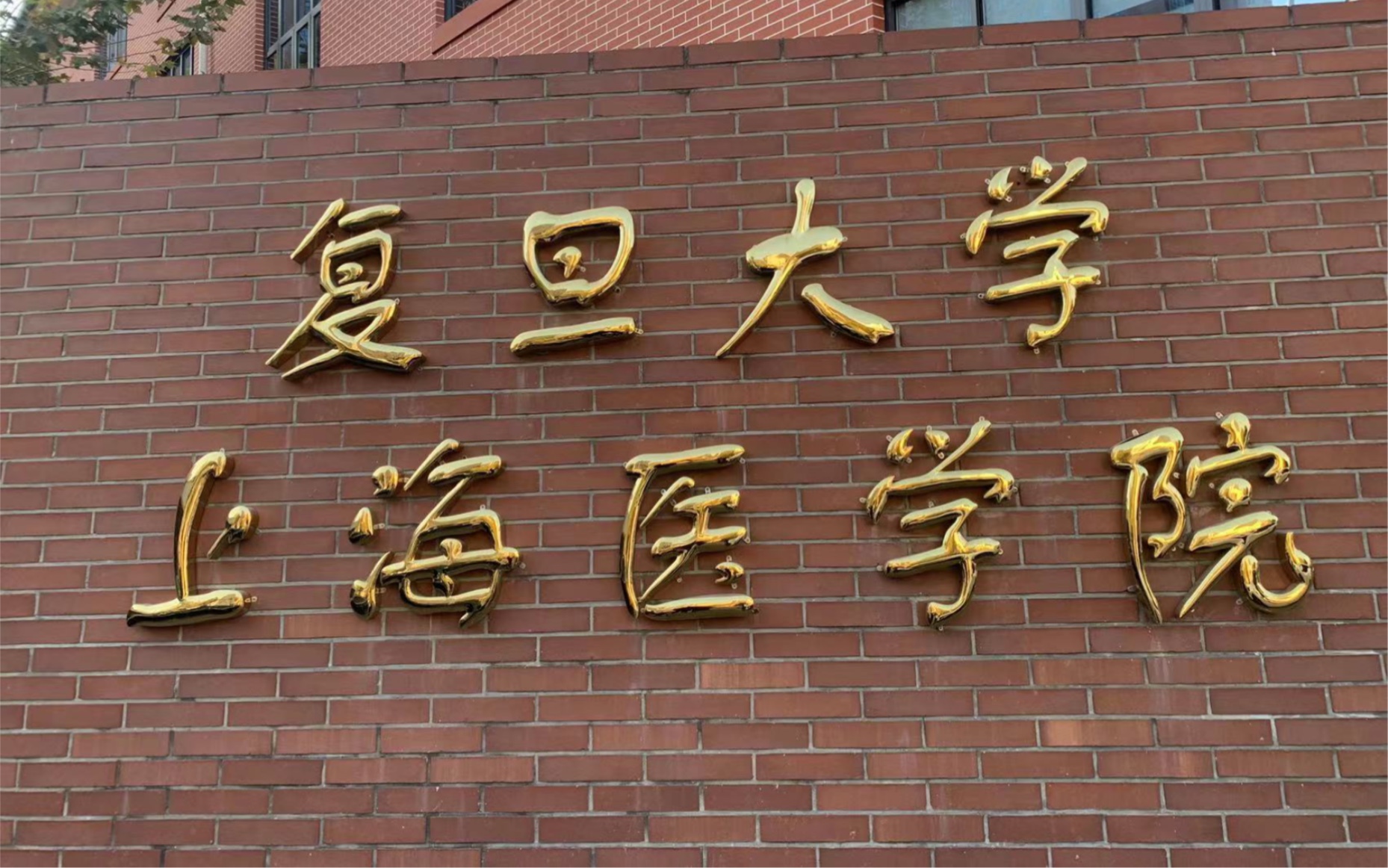跟着dun妈去旅行2:打卡复旦大学上海医学院(东枫林校区),逛上医校园