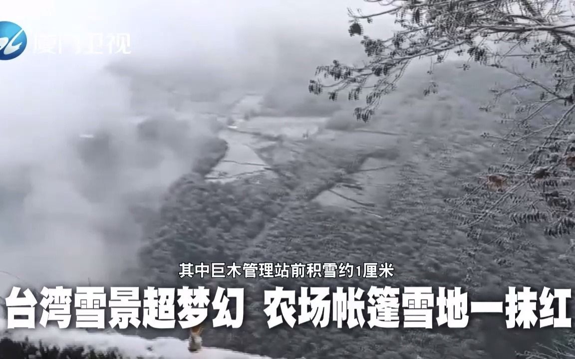 台湾拉拉山雪景超梦幻 农场帐篷雪地一抹红哔哩哔哩bilibili