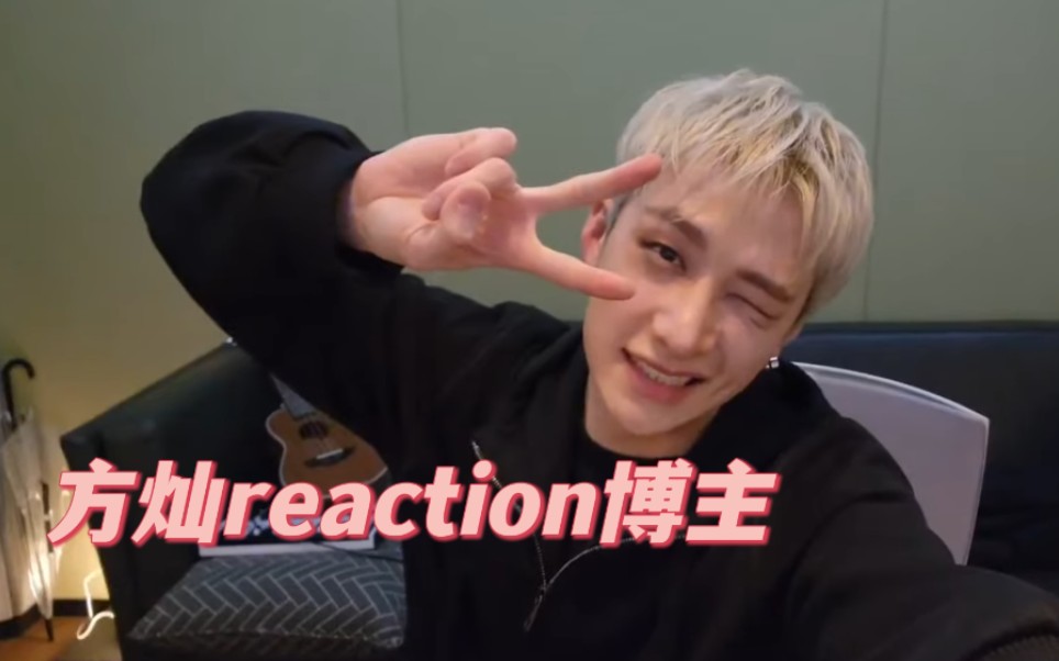 【Stray Kids/持更ing】方灿reaction其他Kpop艺人合集一 灿尼的副业是reaction博主哔哩哔哩bilibili