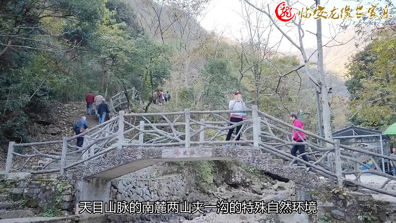 【龙缘农家乐】农家乐旅游,吃住农家乐,篝火晚会农家乐哔哩哔哩bilibili