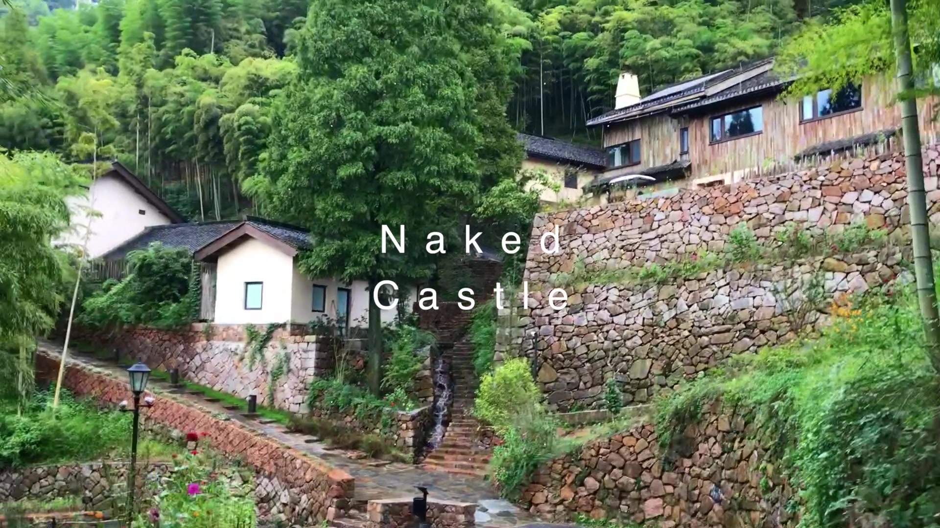 vlog|莫干山(裸心谷)&上海