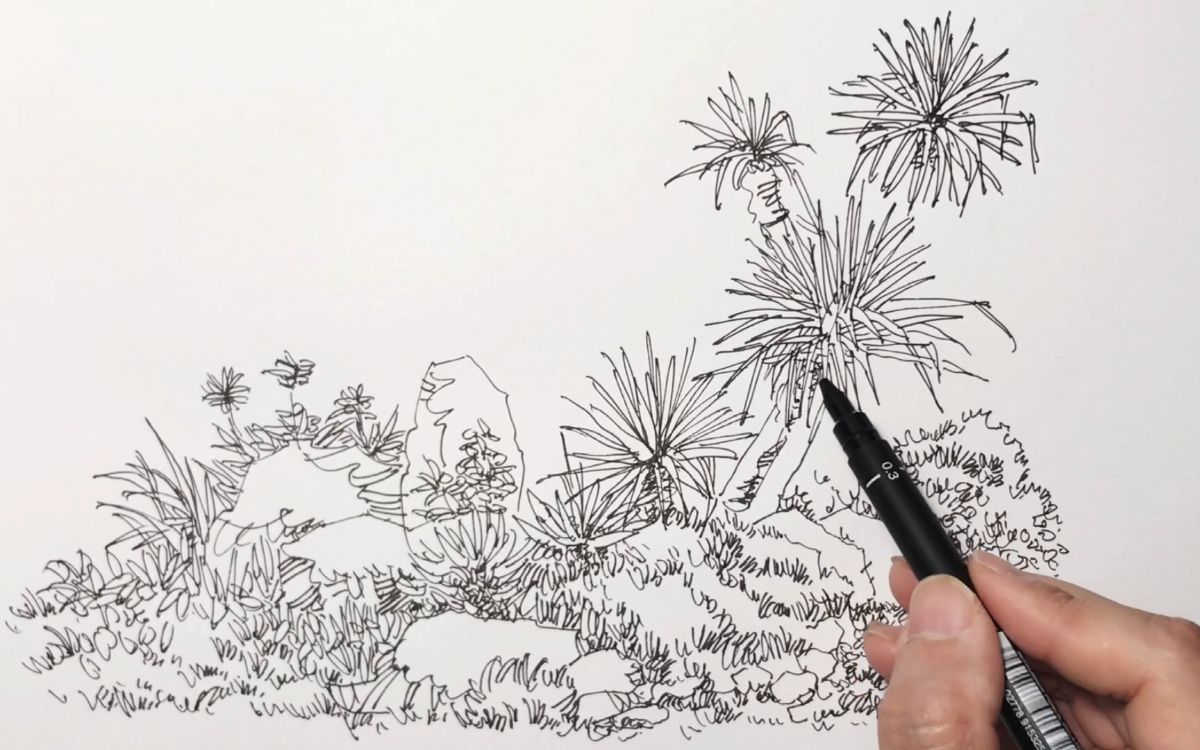 宅在家来一幅钢笔线描画练习吧#画画#线描#钢笔画#手绘表现技法