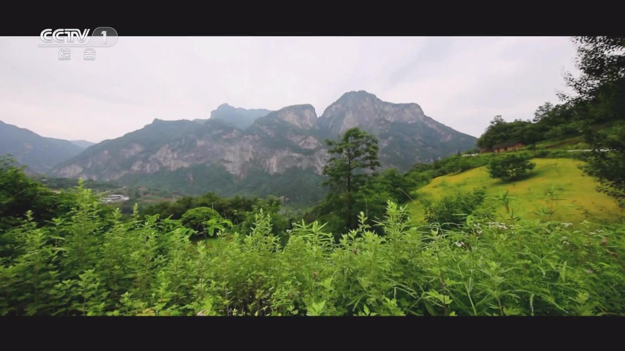 【历史风云【国语中字】青泥岭 720p_哔哩哔哩_bilibili