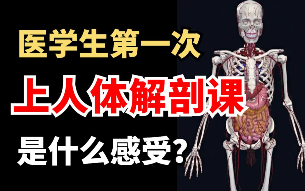 [图]刺激！医学生第一次上人体解剖课是什么感觉？？？？