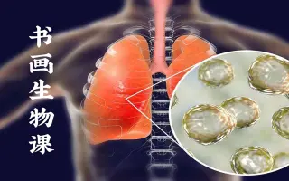 理科生学书法 搜索结果 哔哩哔哩 Bilibili