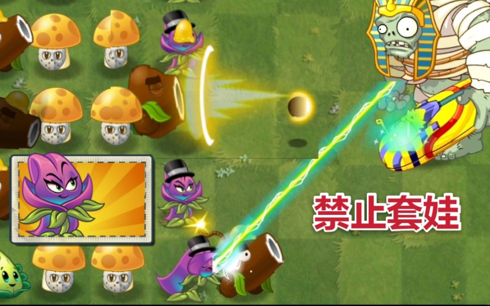 【pvz2】8.6.1新植物“藏红花”植物介绍!哔哩哔哩bilibili