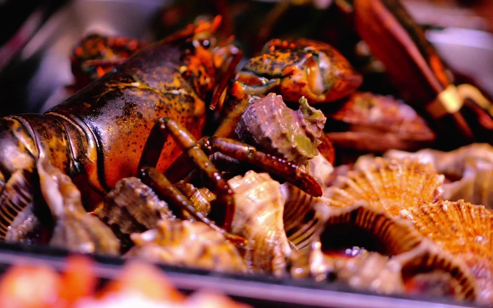 品味烧烤海鲜吧_哔哩哔哩_bilibili