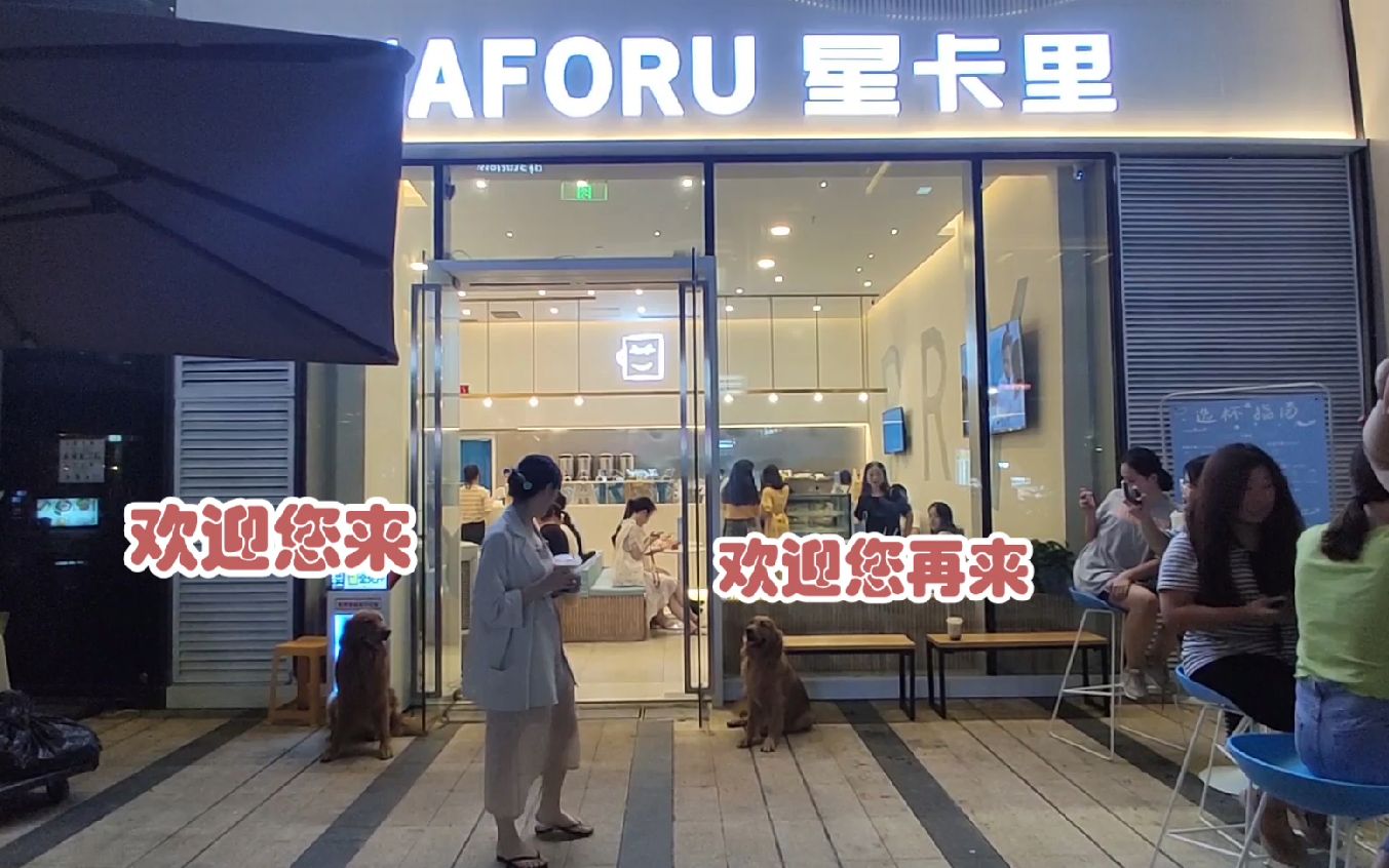 王俊凯家网红奶茶店,金毛充当起了迎宾,被路人纷纷拍照