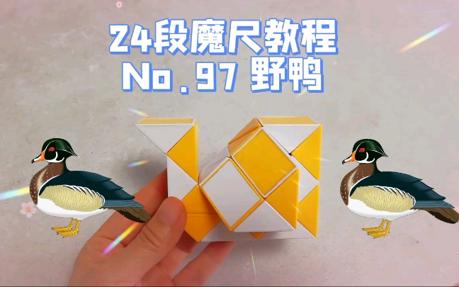 24段魔尺鸭子图片
