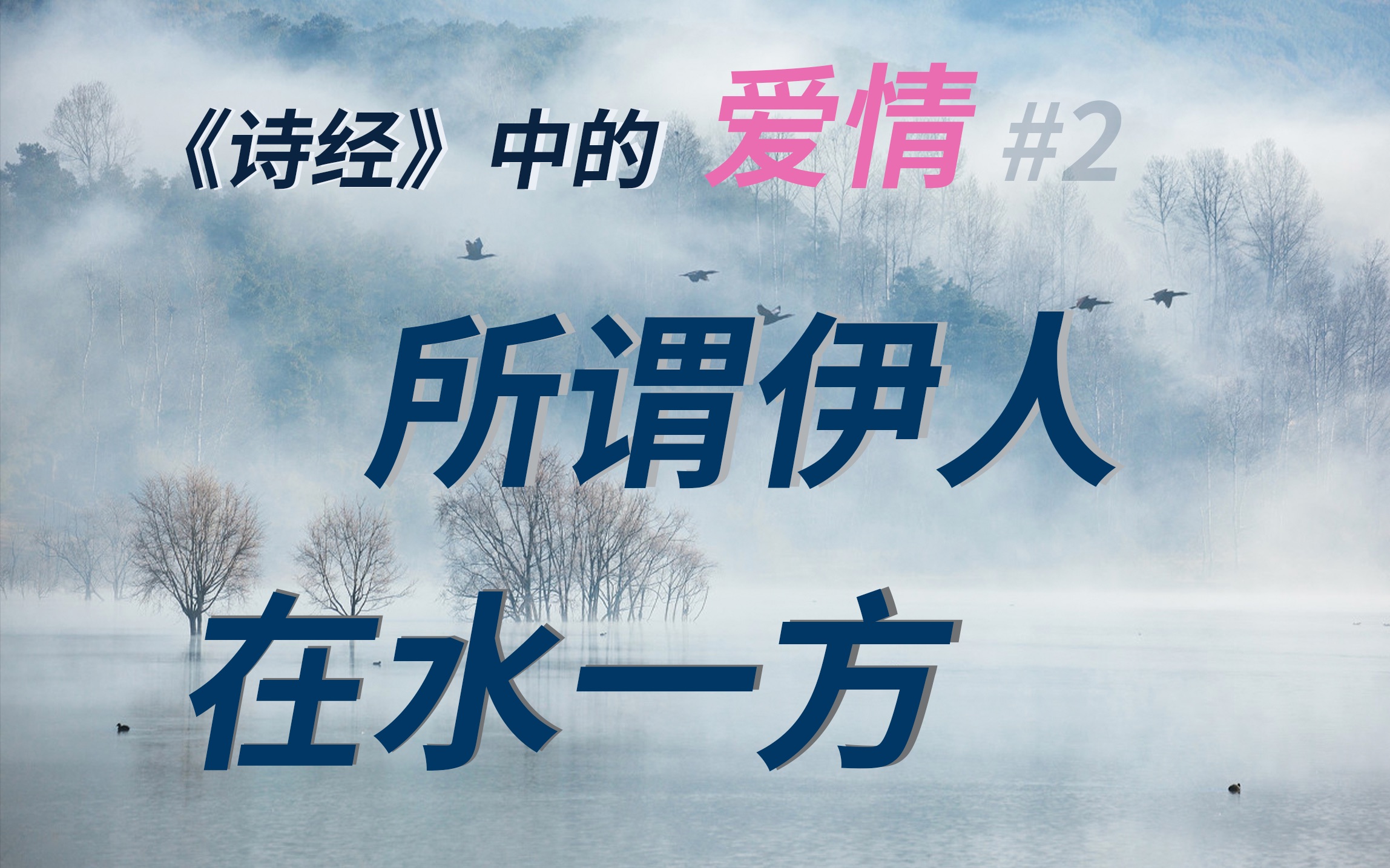 [图]《蒹葭》美在哪里？“伊人”是男是女？快来看看汉儒又制造了什么惊喜