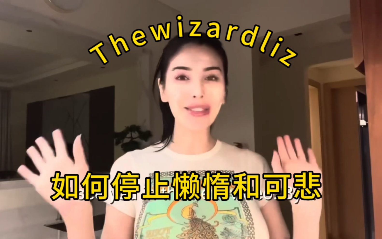 [图]Thewizardliz-如何停止懒惰和可悲/How to stop being lazy and pathetic