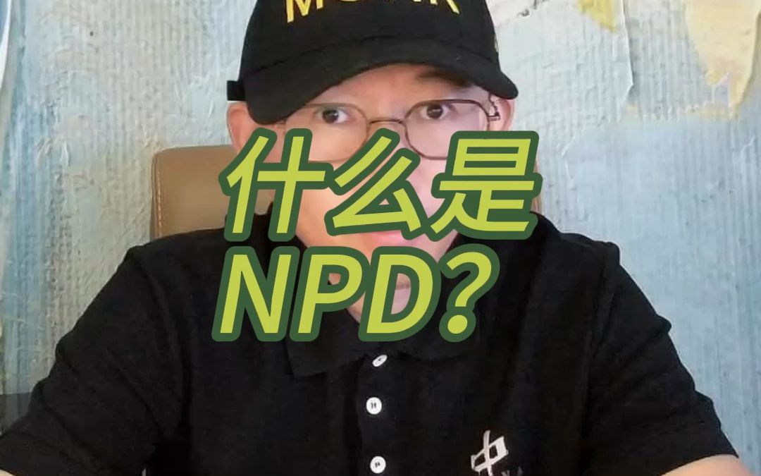 什么是NPD?哔哩哔哩bilibili