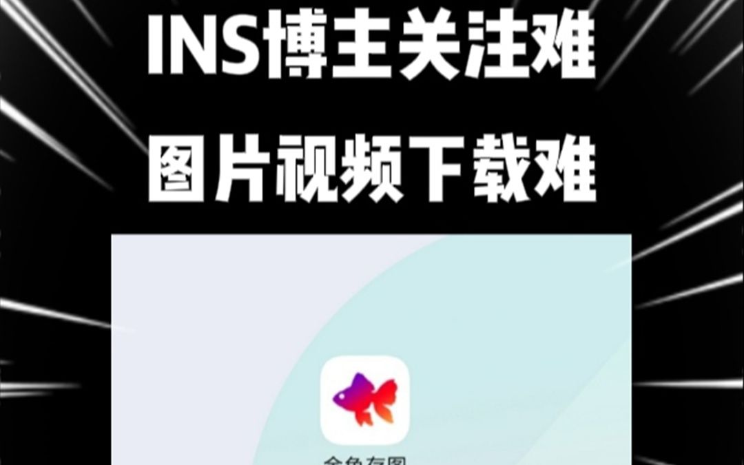 国内INS平替APP推荐哔哩哔哩bilibili